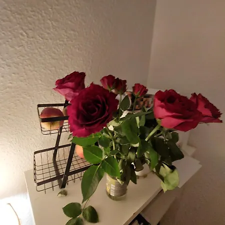 Nuernberg&wellcome24 Homestay *